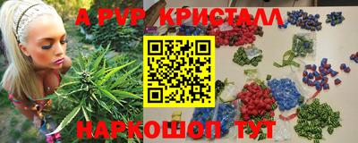 крисы Гагарин