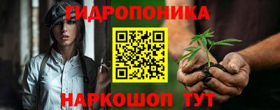 крисы Гагарин