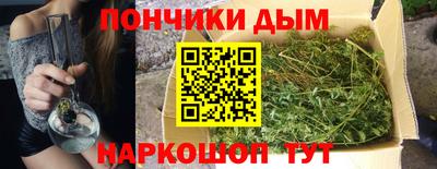 крисы Гагарин